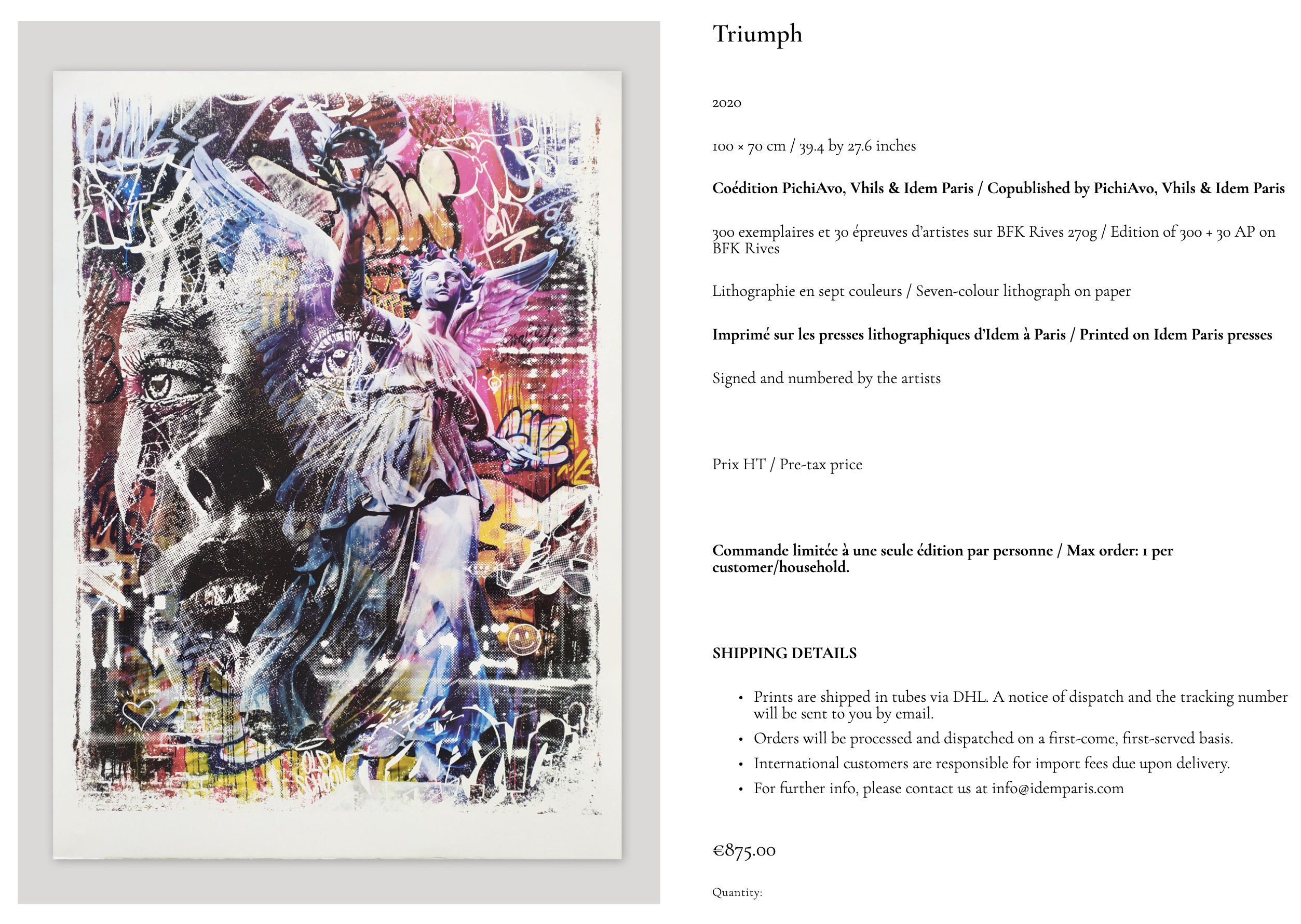 今回購入した作品〜PichiAvo/Vhils《Triumph》2020 100×70cm