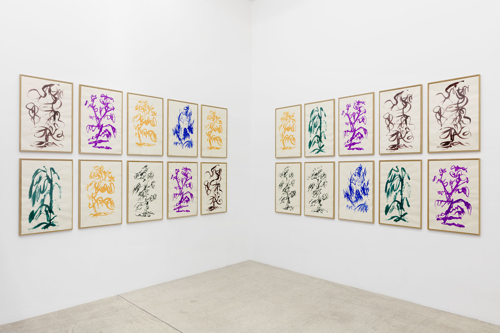 展示風景 photo: Claire Dorn