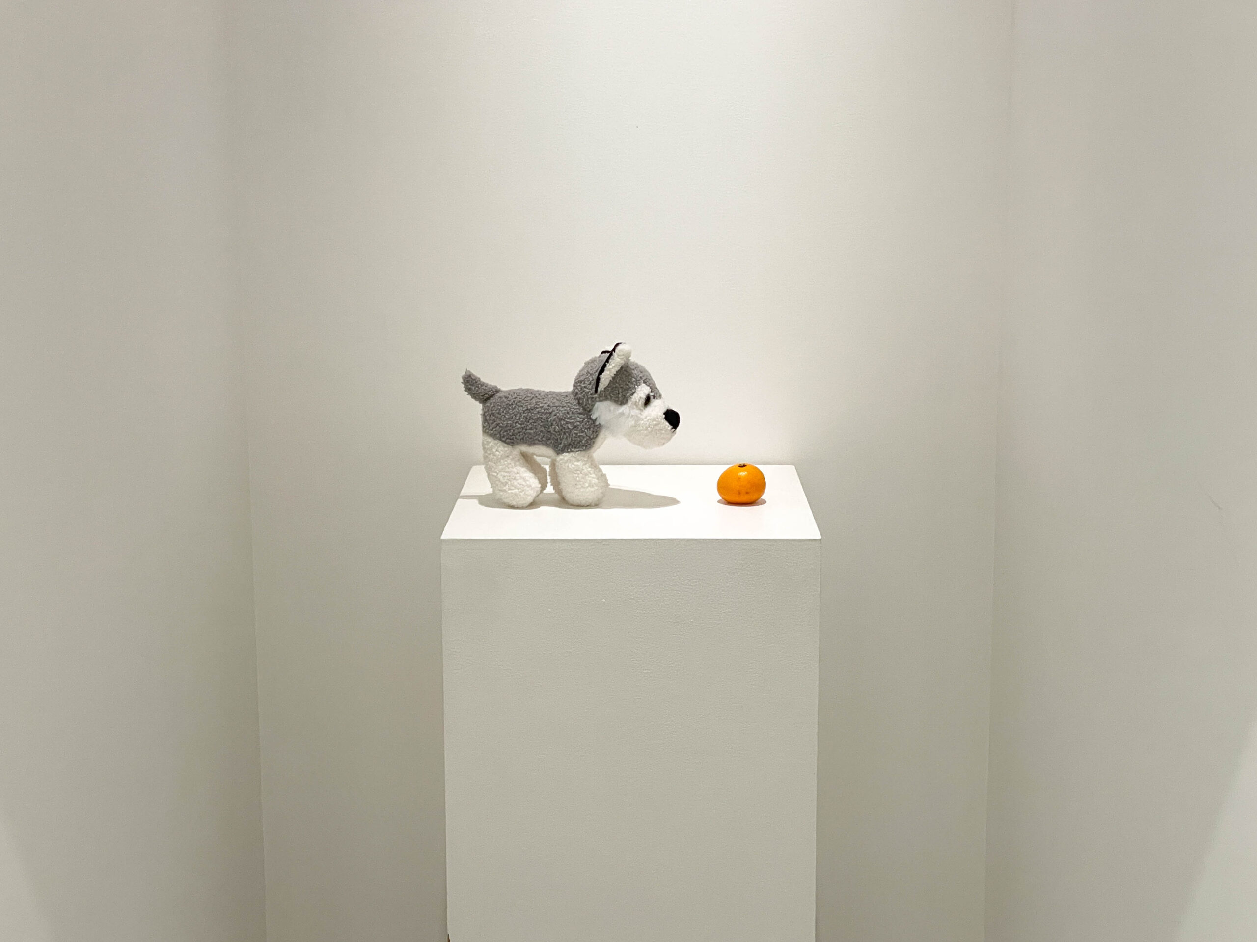 展示風景 ※参考出品