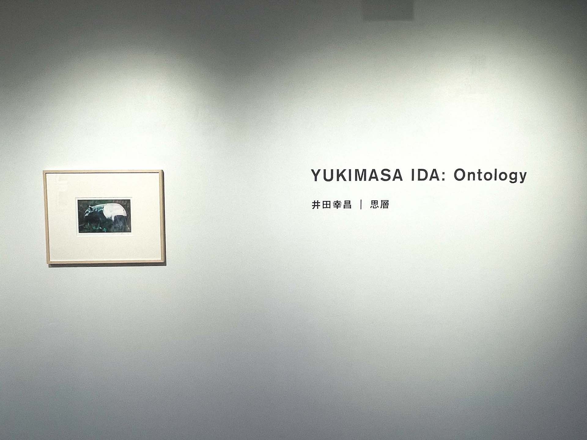井田幸昌「思層｜Ontology」