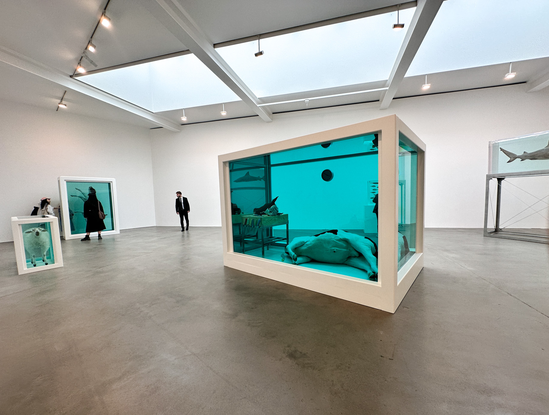 【個展】ダミアン・ハースト（DAMIEN HIRST）「Natural History」GAGOSIAN（LONDON）