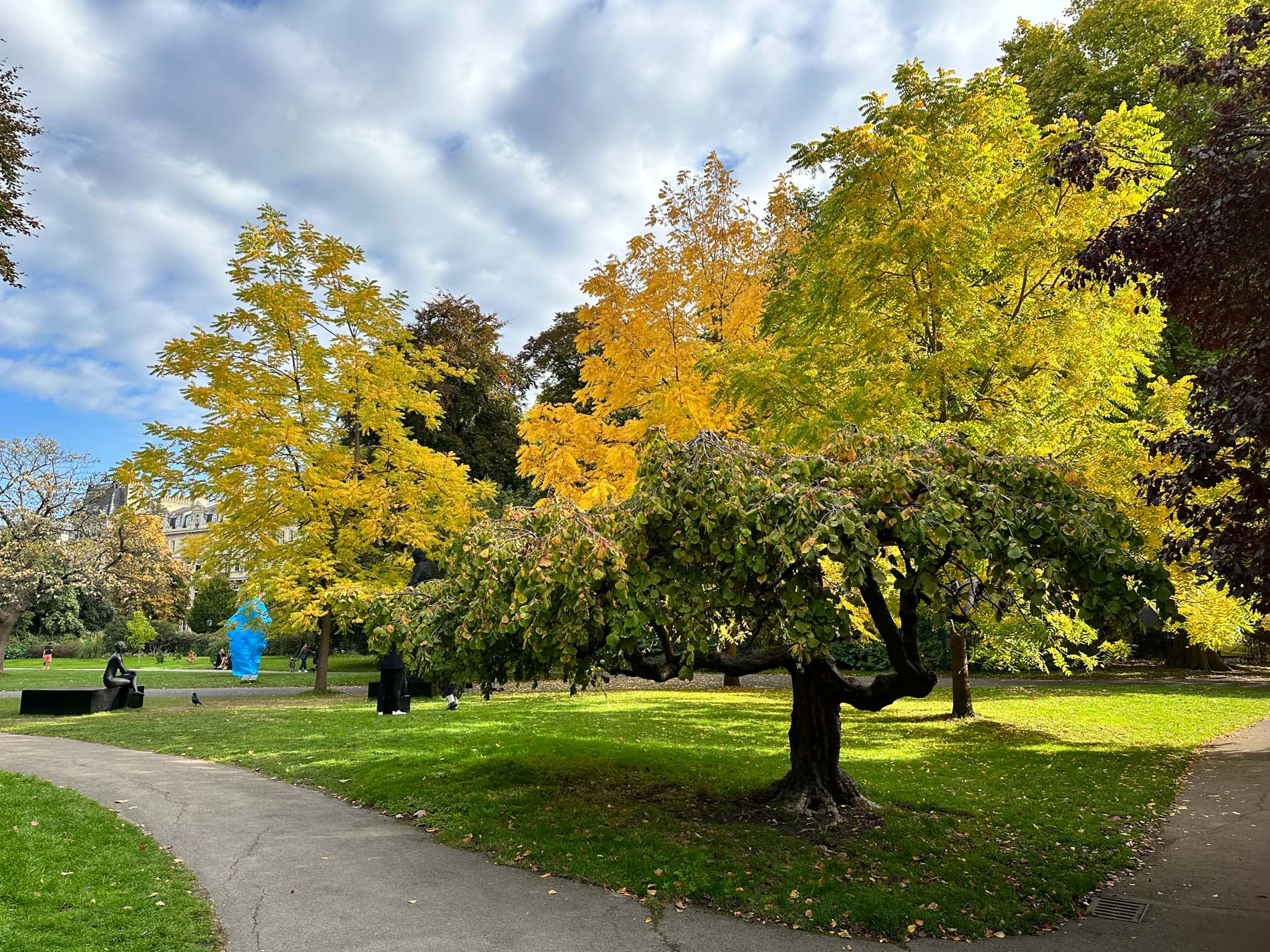 【Art Fair】紅葉時期の素晴らしきアートフェア企画「Frieze Sculpture 2022」Regent's Park