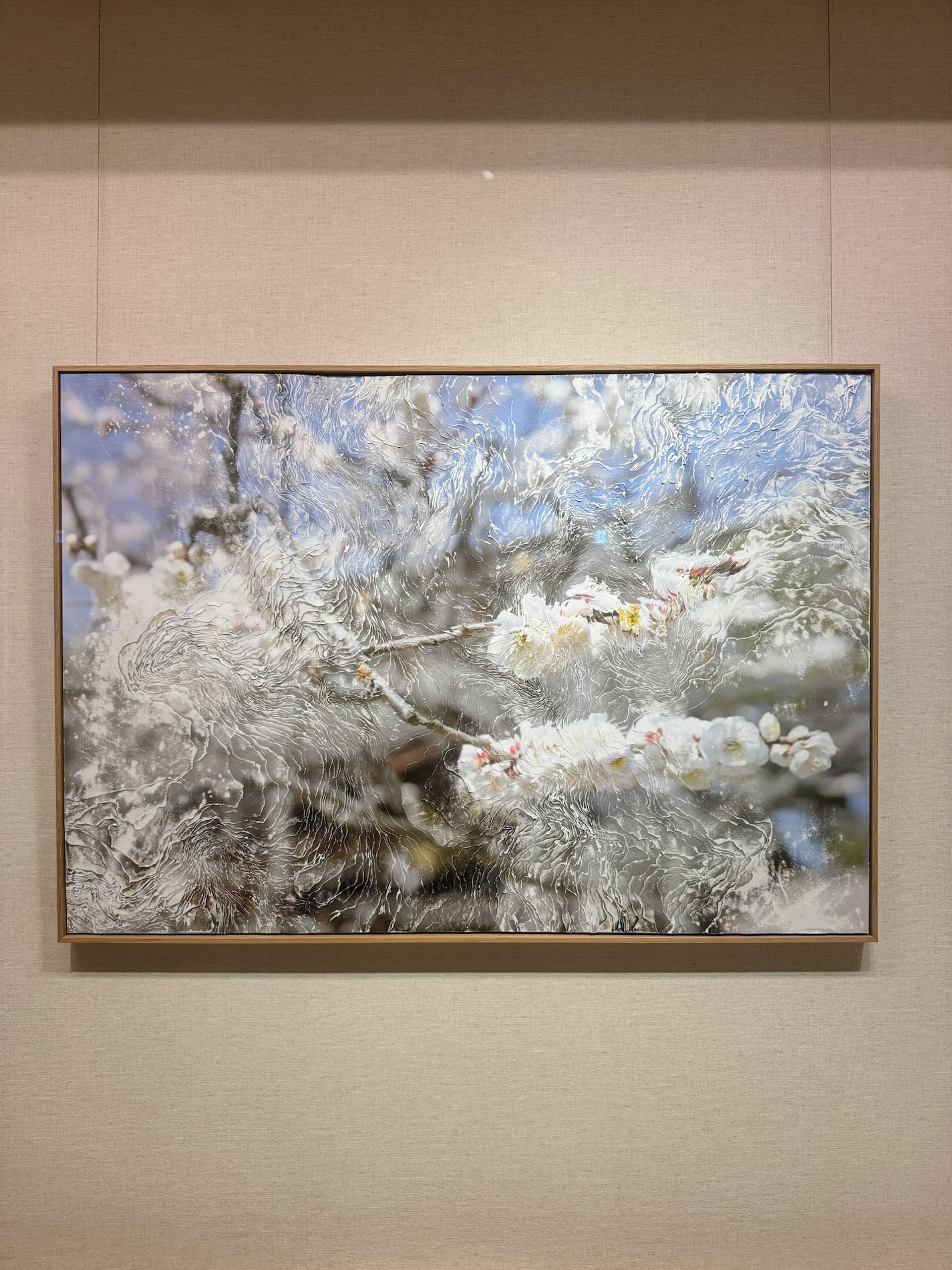 Nerhol《Prunus mume(Flying mume)》2024 Layers of inkjet prints | Canon Pro-6000S