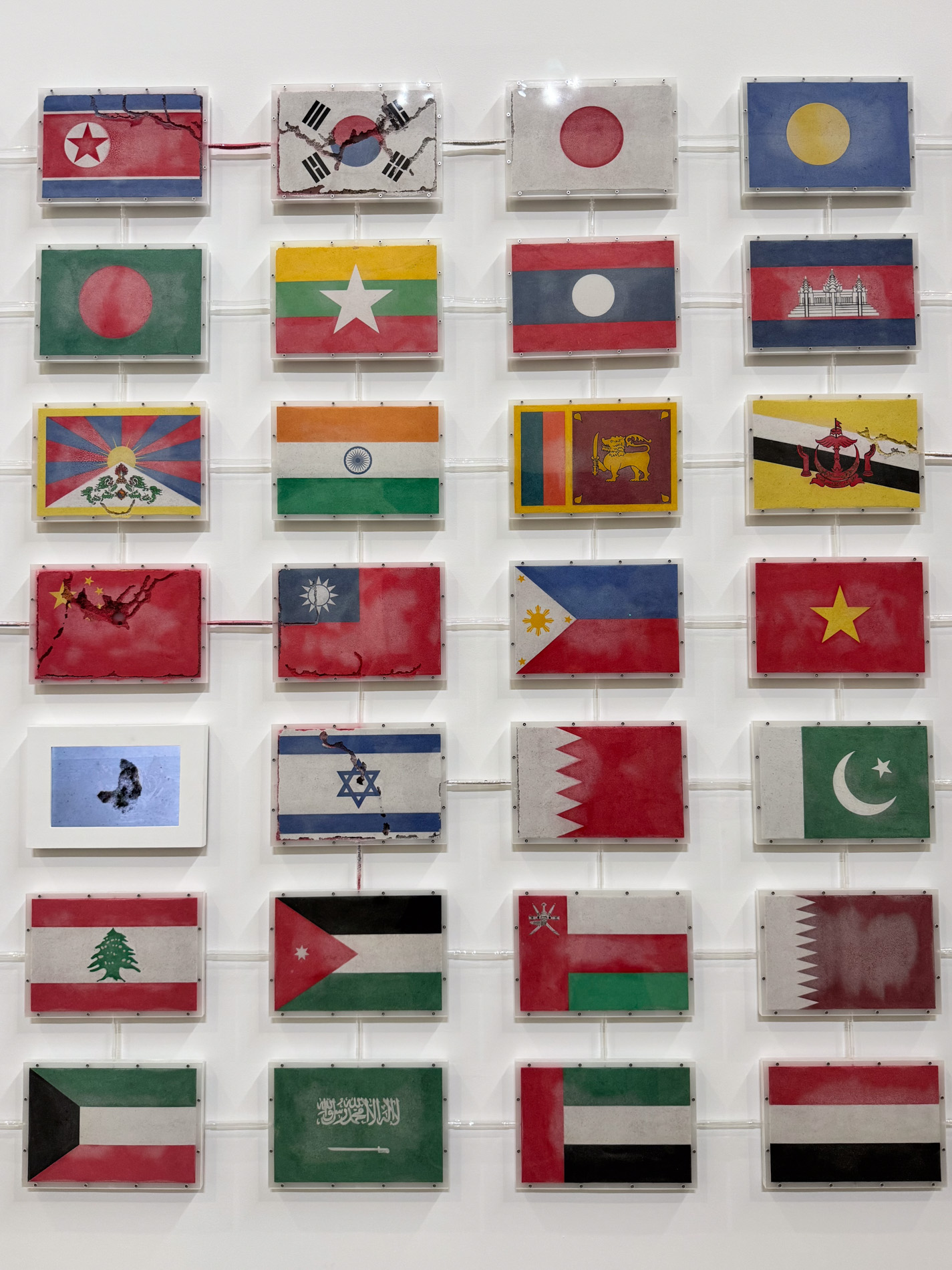 The World Flag Ant Farm 2025 ※部分