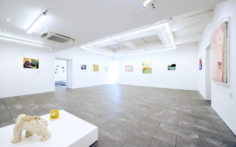 白い展示室の全景。手前の白い台に陶の犬の立体、奥の壁に作家たちの新作が並ぶ