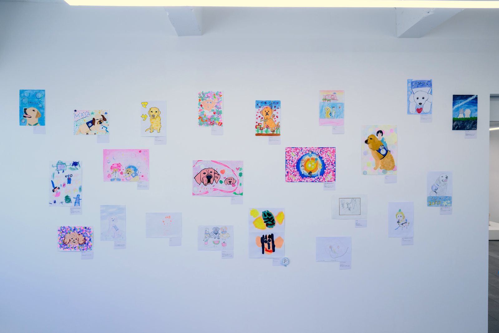 入院を経験した子どもたちときょうだいが描いた犬の絵が、1点ずつキャプションを添えて壁いっぱいに並ぶ展示風景